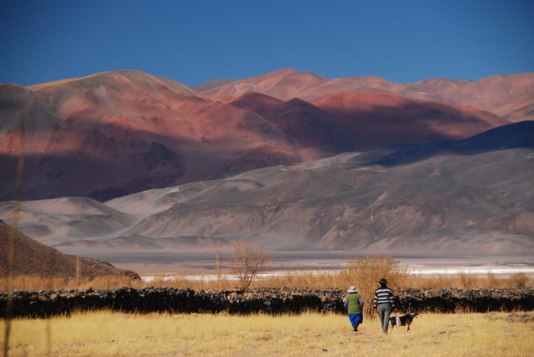 Argentinië Salta en Jujuy Antofagasta de la Sierra