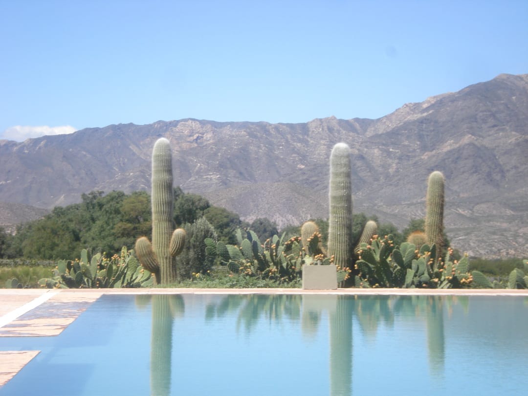 Argentinië Salta en Jujuy woestijn