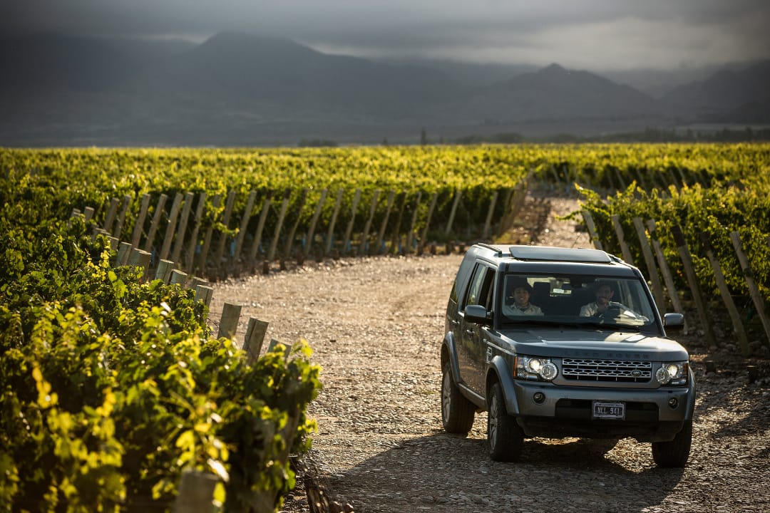 Argentinië The Vines Resort Spa Mendoza wijnvelden
