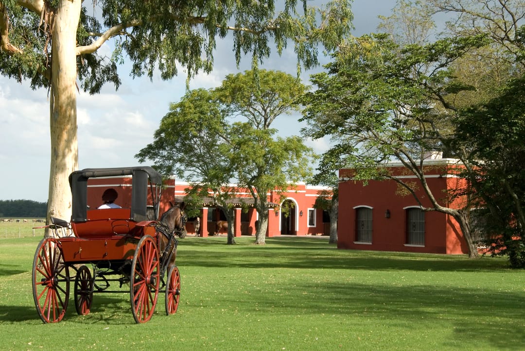 Argentinië estancia la Bamba de Areco paard en wagen