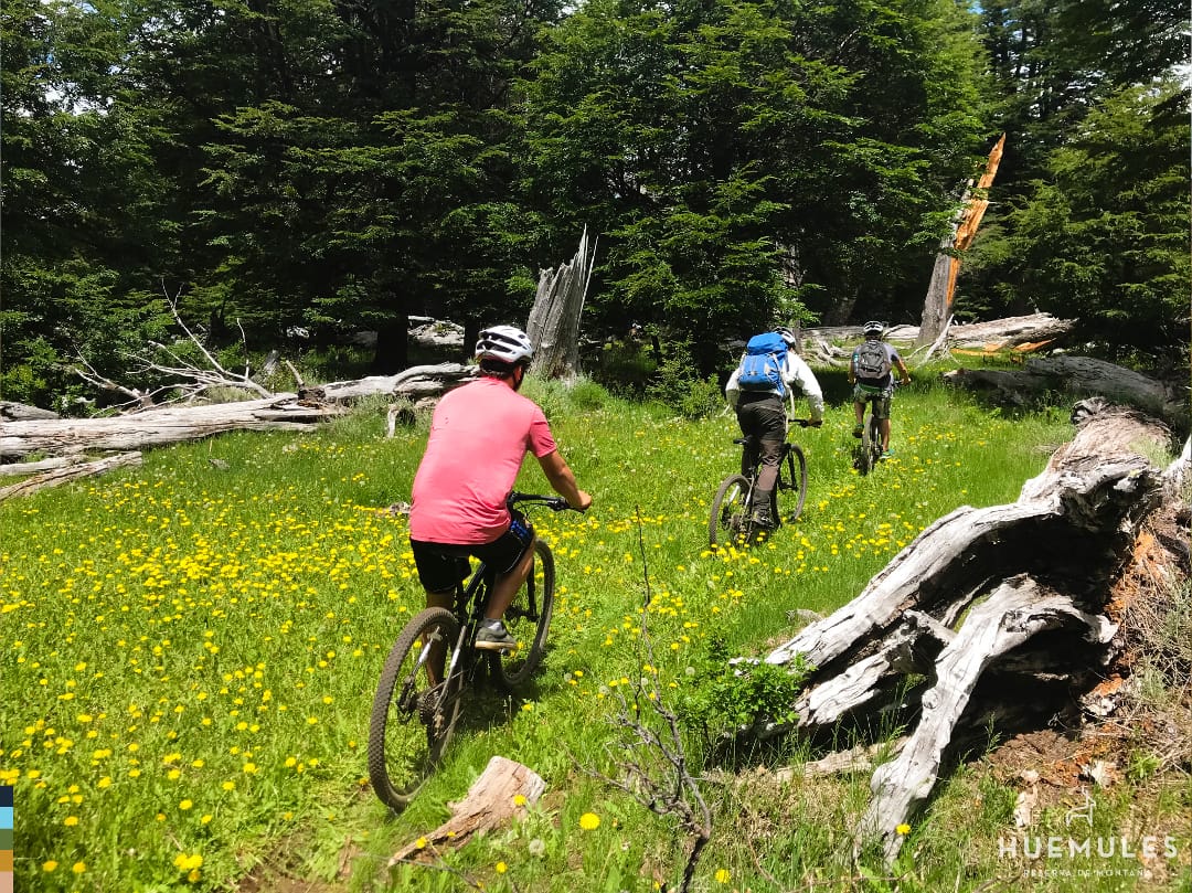 Argentinië Glamping in Patagonië Huemules fietstour