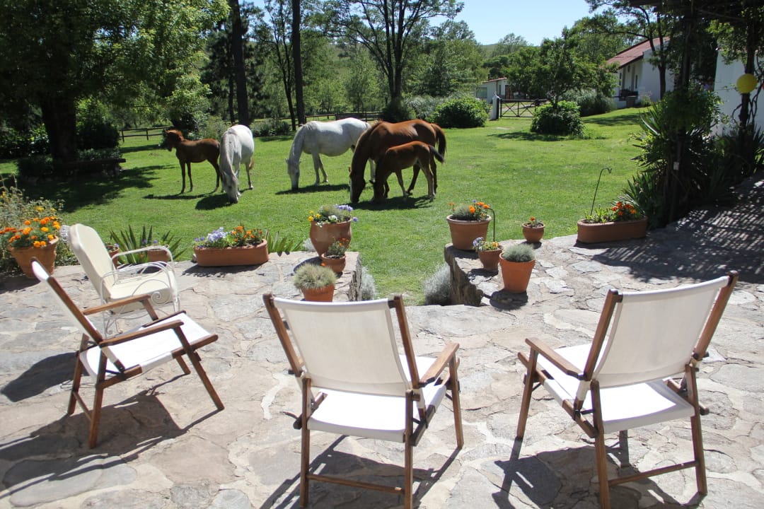 Argentinië Estancia los Potreros tuin met paarden