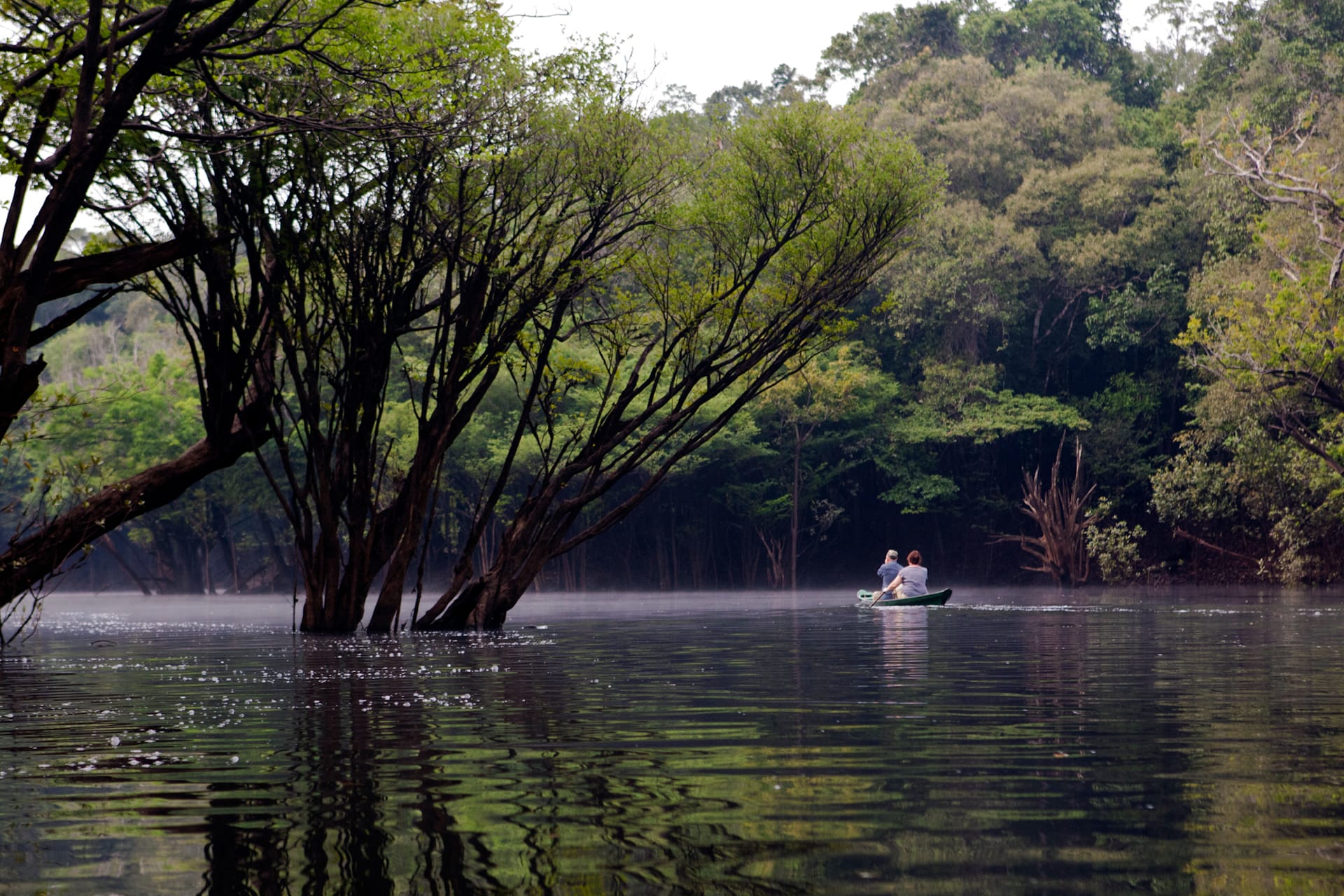 Brazilië Amazone Anavilhanas lodge kanovaren
