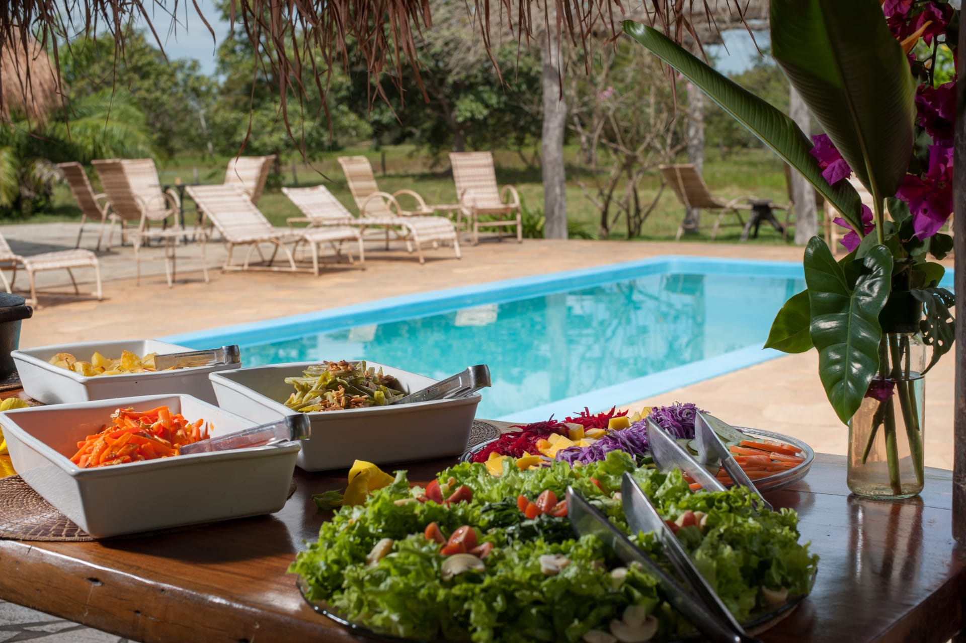 Brazilië Araras Lodge zwembad en lunch
