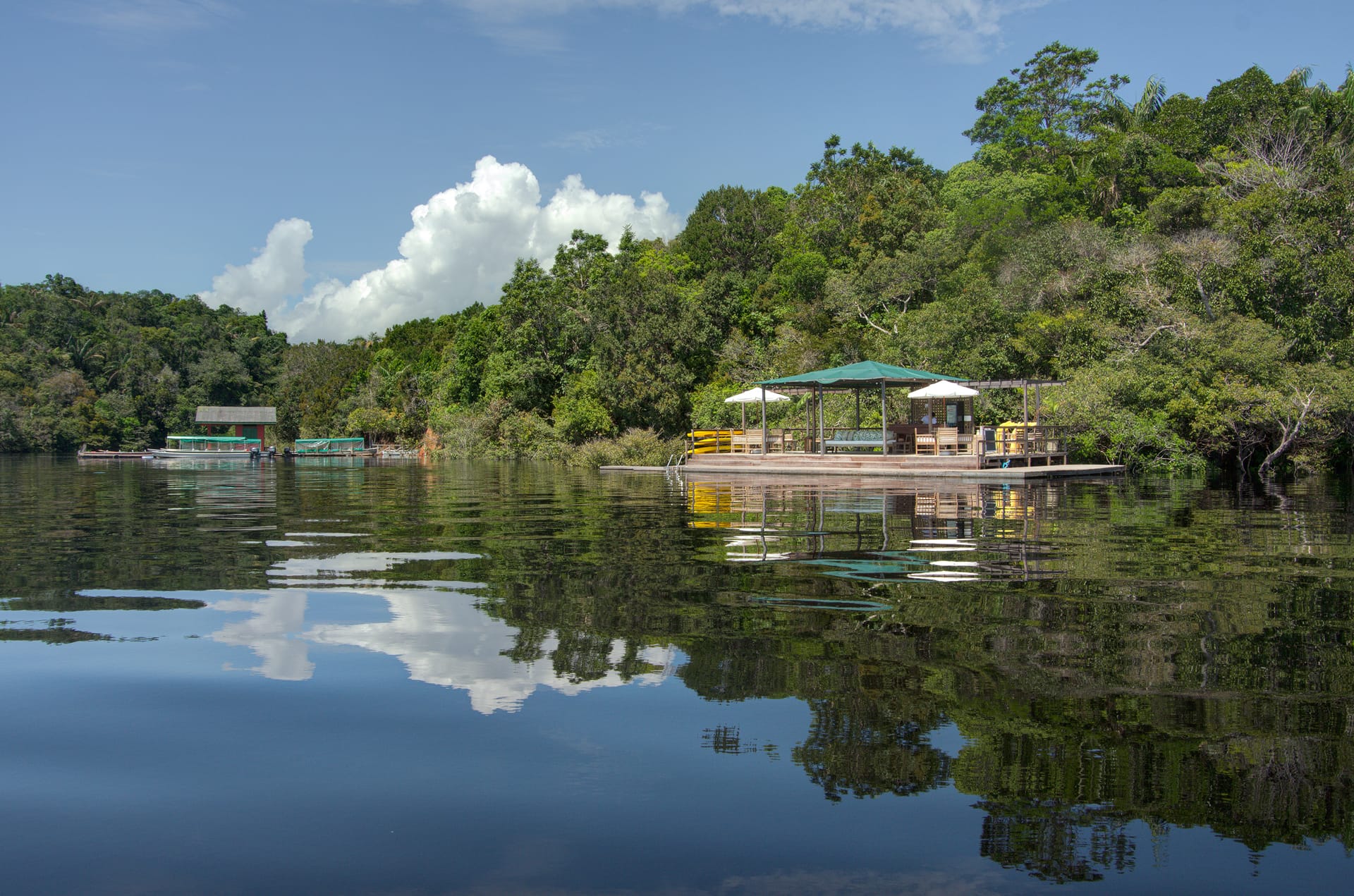 Brazilië Amazone Anavilhanas terras aan het water