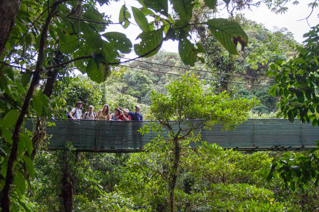 Costa Rica Monteverde Hangende Bruggen