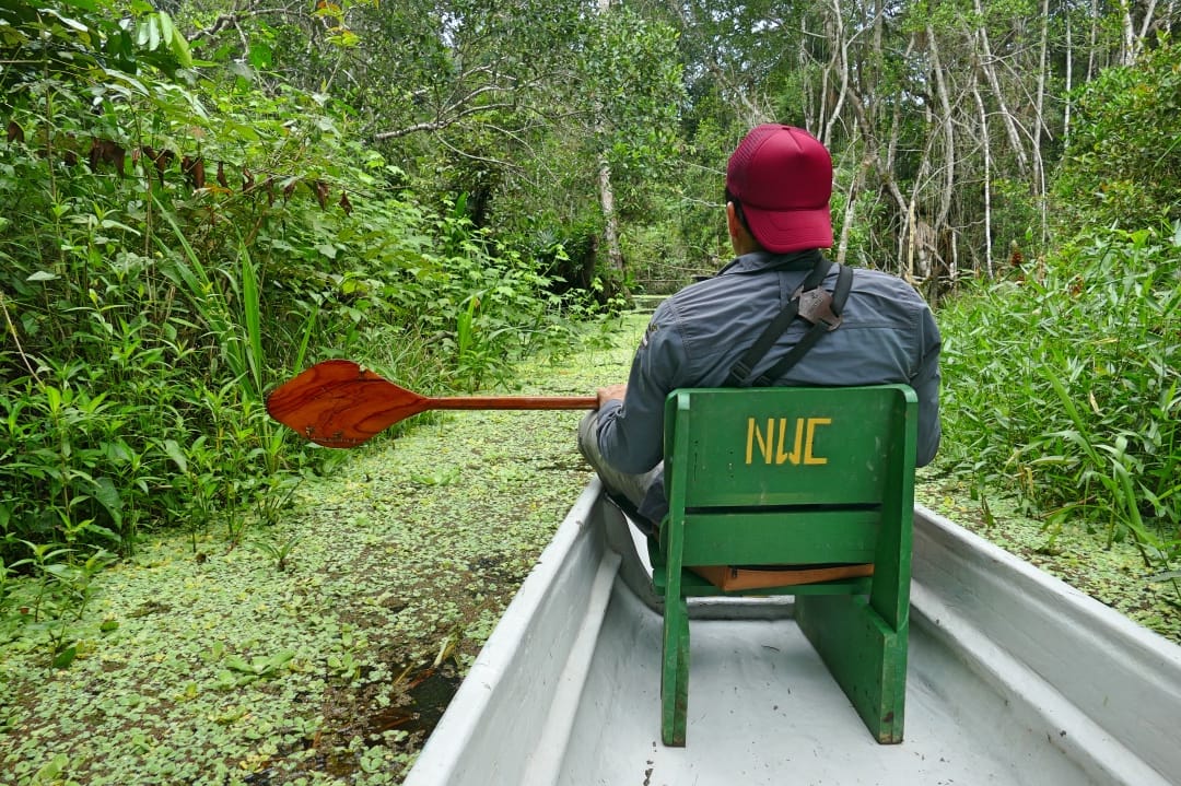 Ecuador Napo Wildlife Center peddelkano