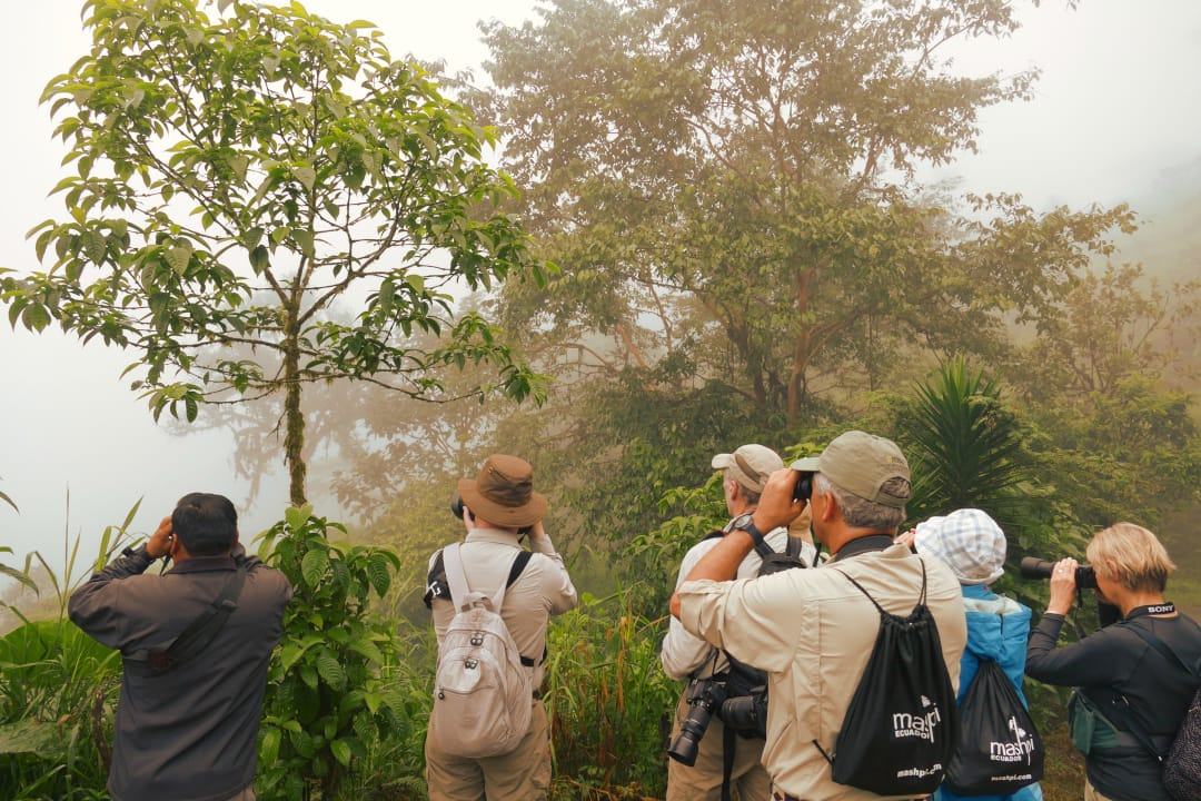 Ecuador Mashpi Lodge birdwatching