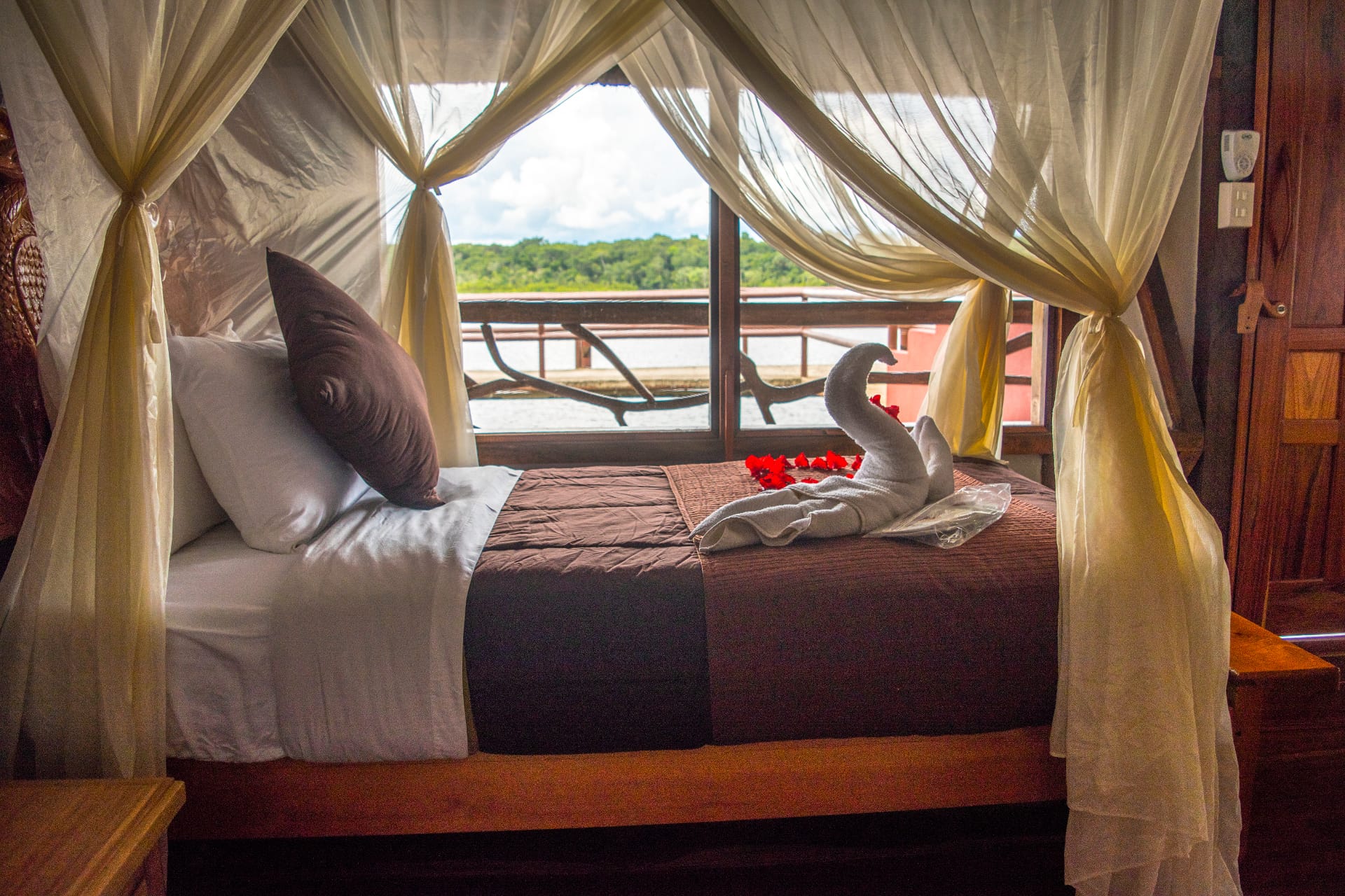Ecuador Napo Wildlife Center kamer met uitzicht