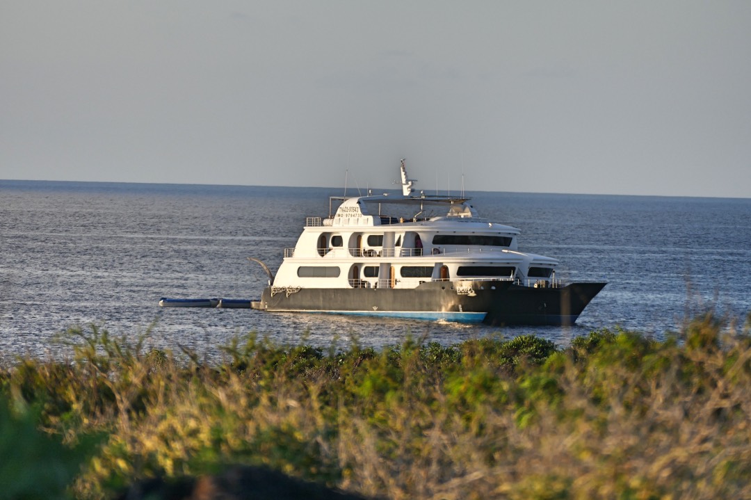 luxe Galapagos cruise Petrel