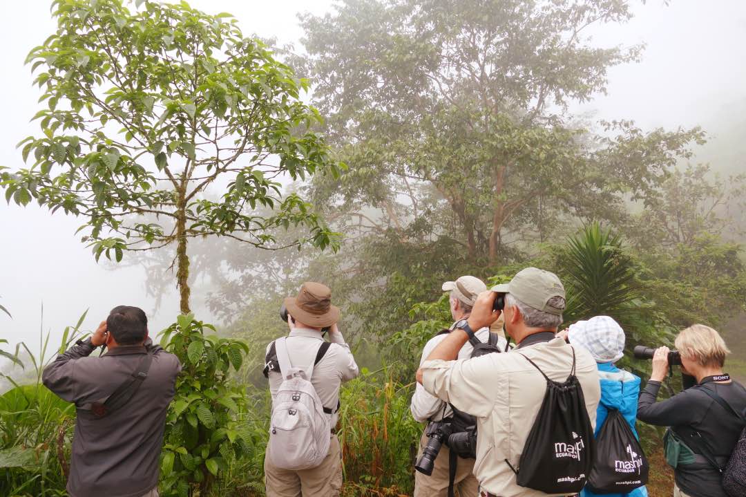 Ecuador Nevelwoud Mashpi Lodge reizigers