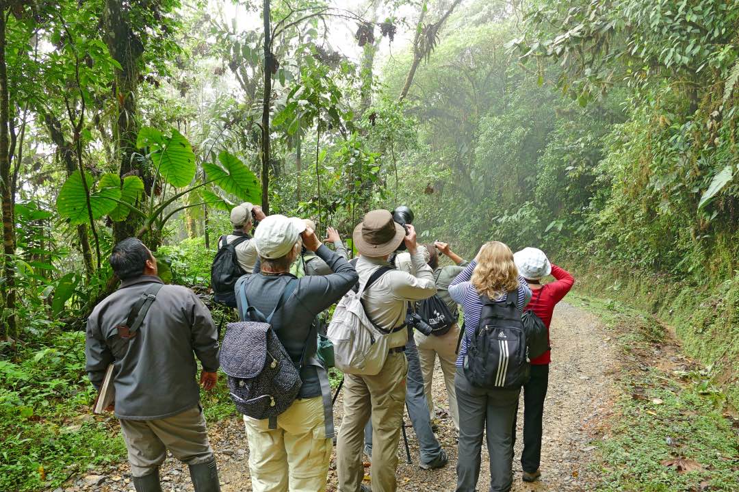 Ecuador Nevelwoud Mashpi Lodge birwatching