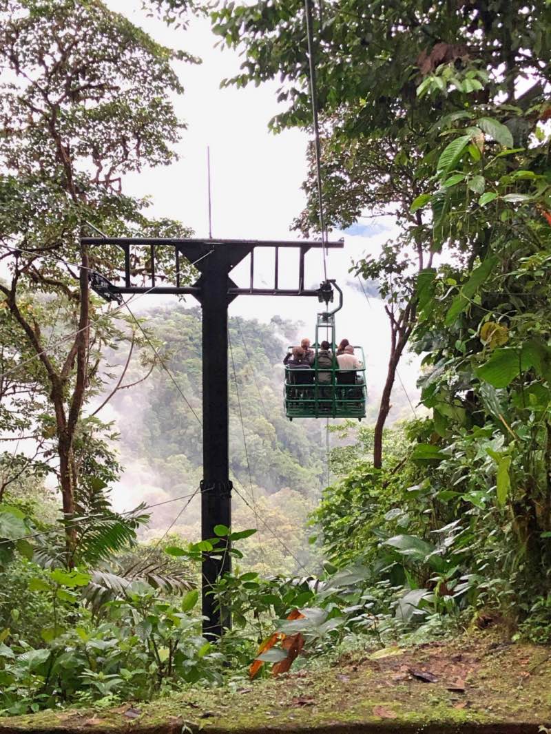 Mashpi Lodge in Ecuador Dragonfly