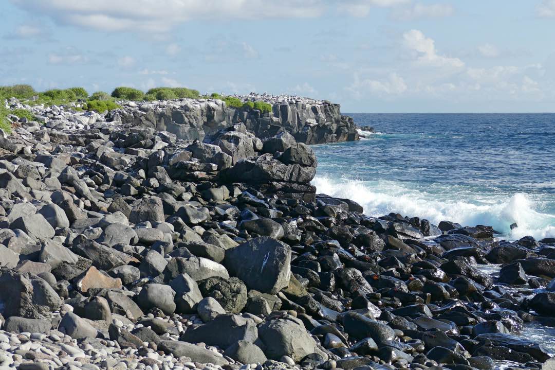 Galapagos Espanola Kustlijn met kliffen