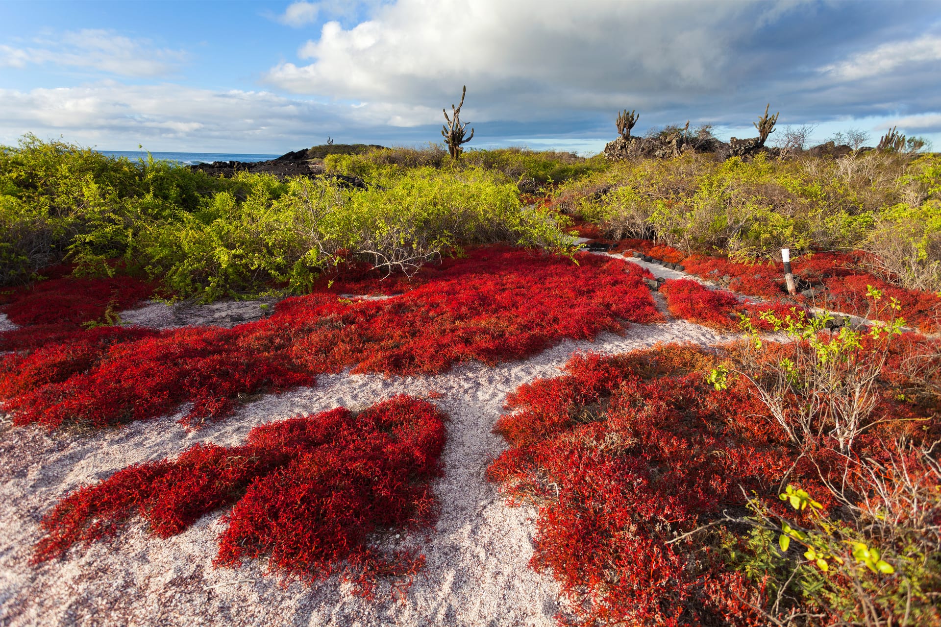 Galapagos eilanden