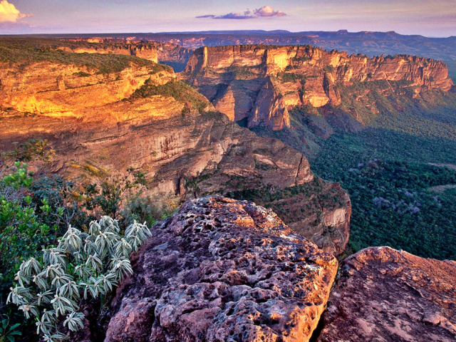 Brazilië Chapada dos Guimarães
