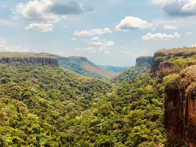 Brazilië Chapada dos Guimarães uitzicht