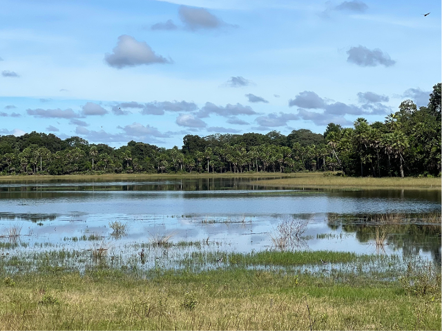 Brazilië Pantanal Zoetwatermeren