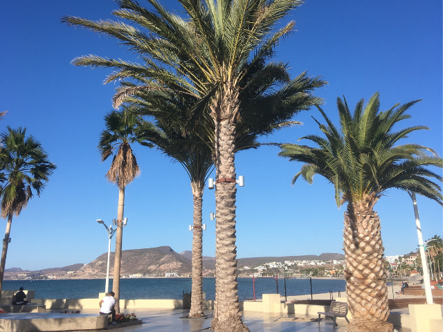 Mexico La Paz Boulevard