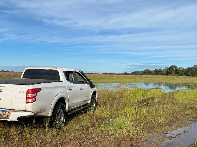 Brazilië Pantanal Selfdrive