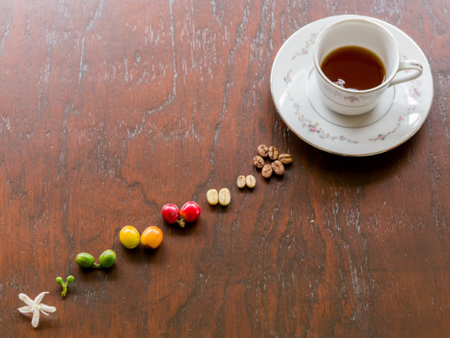 Colombia koffie proeven