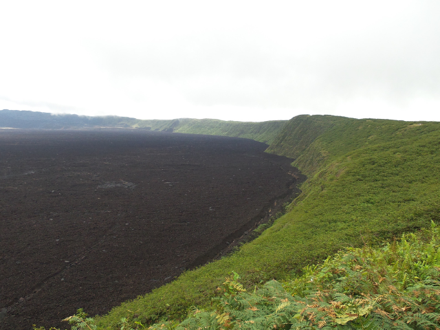 Galapagos Isabela Hike Sierra Negra Vulkaan Groen