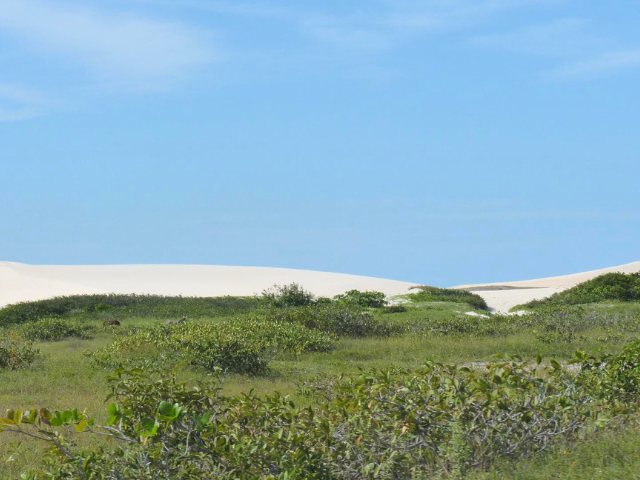 Brazilië Lencois Zandduinen