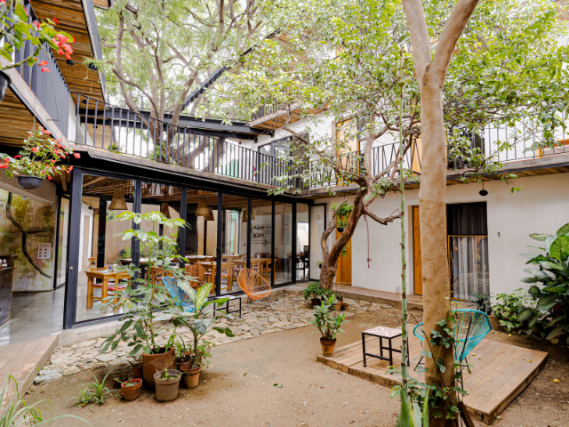 Mexico Hotel Con Corazon Jardin