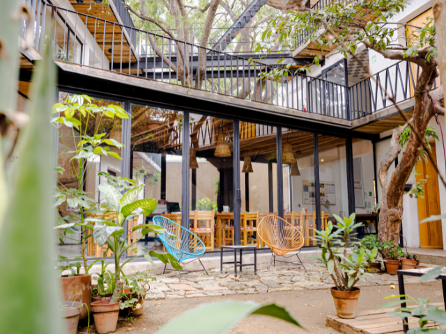 Hotel con Corazon in Oaxaca Tuin