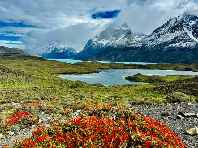 Argentinië Patagonie Review