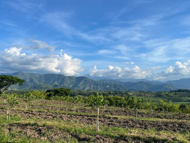 Colombia Hacienda Bambusa Fietstour Uitzicht