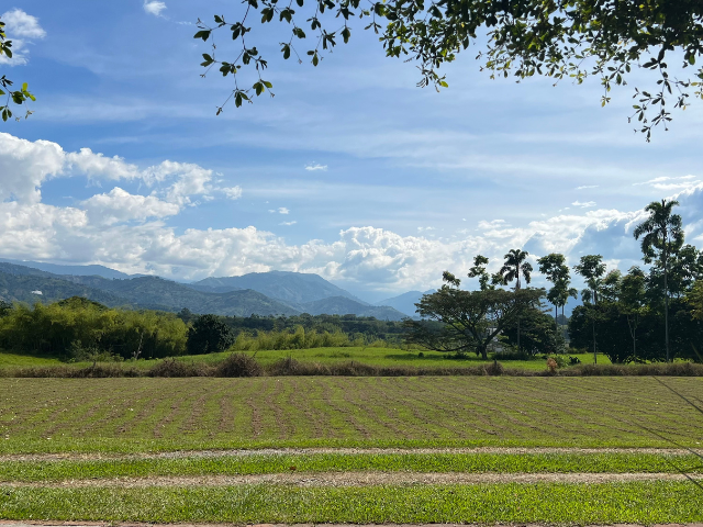 Colombia Hacienda Bambusa Uitzicht bergen