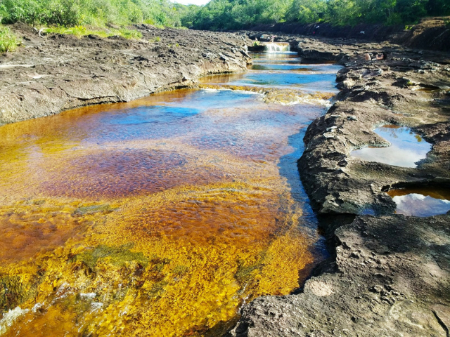 Colombia Guaviare Pozos Naturales