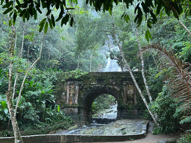 Brazilië Rio de Janeiro Tijuca forest brug