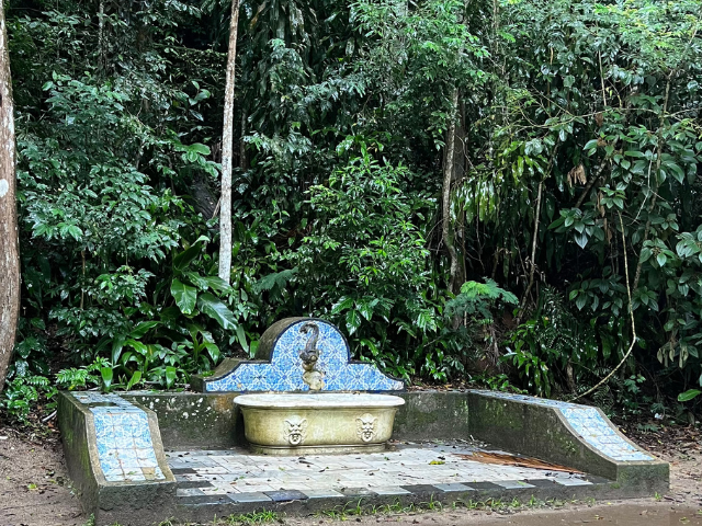 Brazilië Rio Tijuca Forest Badkuip