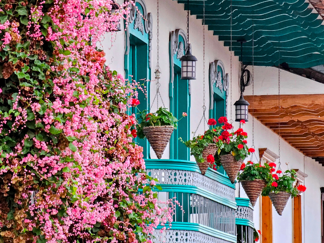 Colombia Salamina Kleurrijk Bloemen