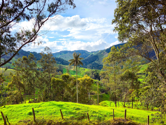 Colombia Samaria Vallei bergen