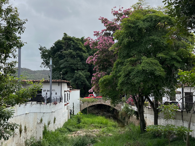 Colombia Santander Giron Groen Bruggetje