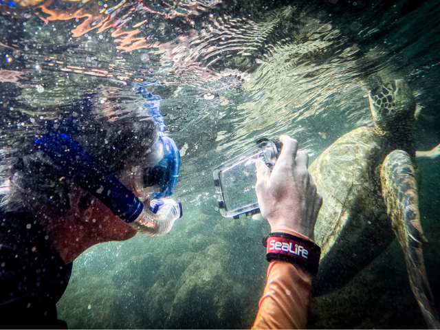 Galapagos foto's maken tijdens het snorkelen