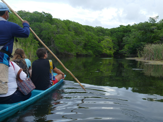 Mexico kajakken mangroven Sisal