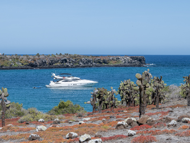 Tour op de Galapagos eilanden