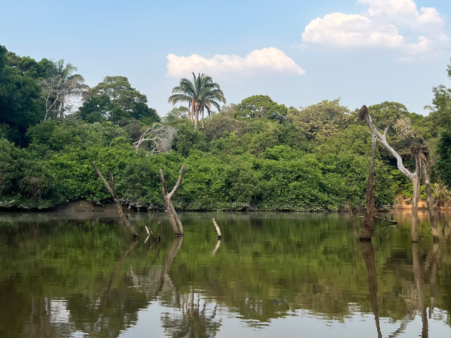 los llanos Colombia boottour