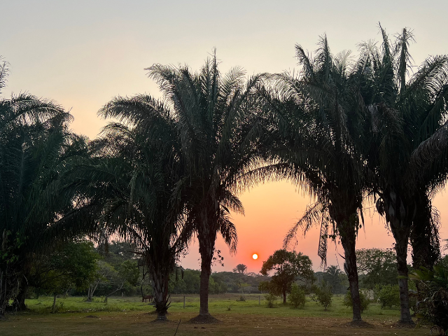 los llanos Colombia zonsondergang