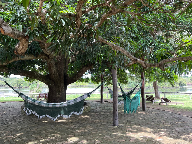 Brazilië Pantanal Barranco Alto Hangmatten