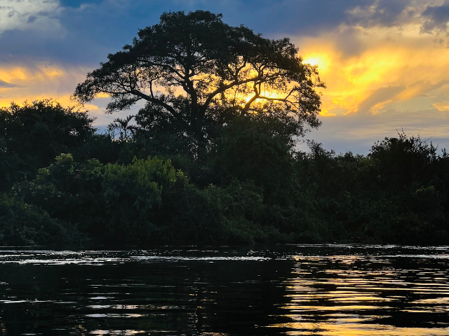 Brazilië Pantanal boottocht
