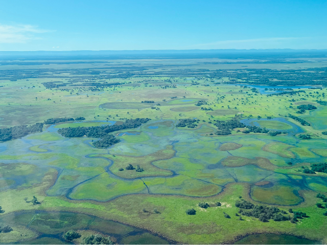 Brazilië Pantanal bovenaanzicht