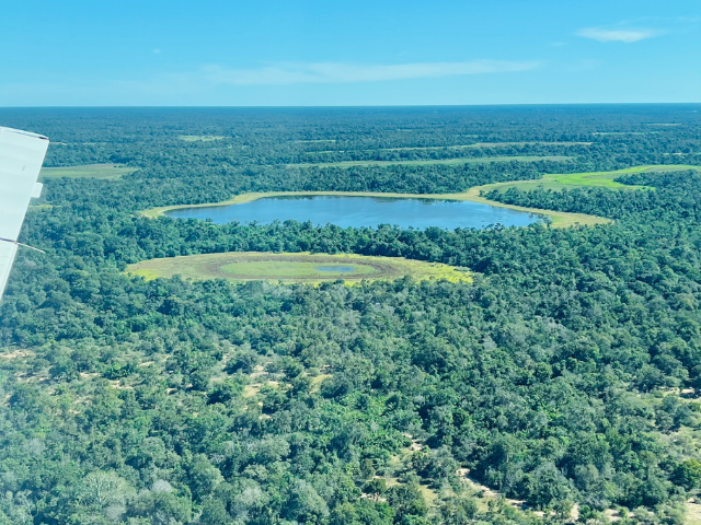 Brazilië Pantanal meren en bos