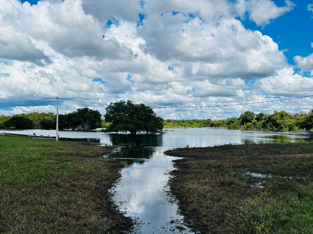 Brazilie Pantanal wetlands