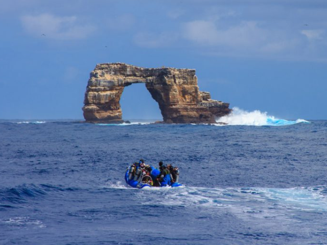Galapagos duikcruise Aqua liveaboard Wolf
