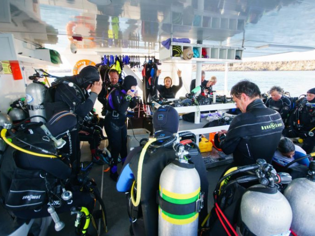 Galapagos duikcruise Aqua liveaboard